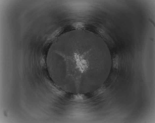 X0000101950618200807181452