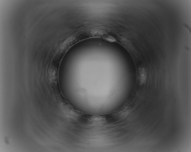 X0000101950619200807181452