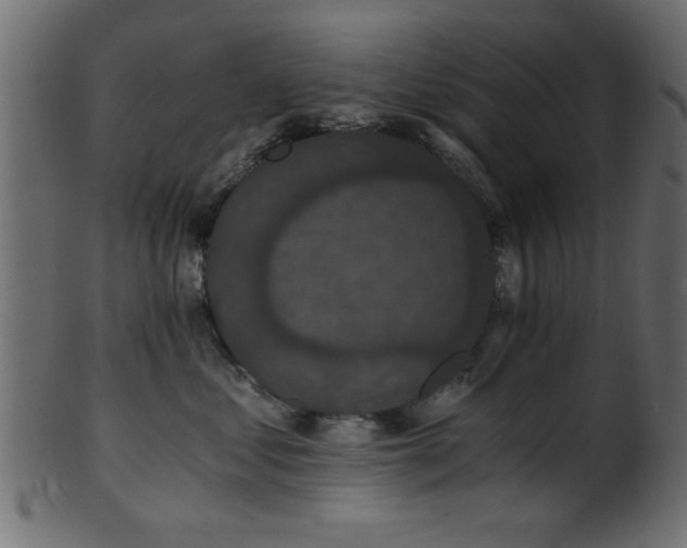 X0000101950621200807181452