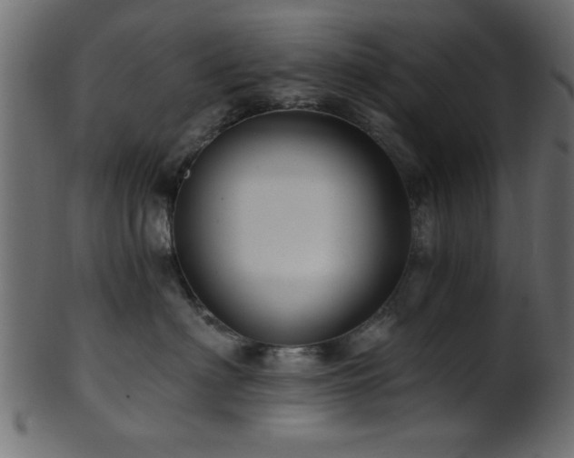 X0000101950622200807181452