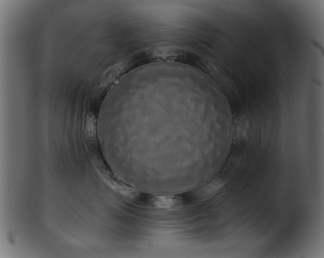 X0000101950623200807181452