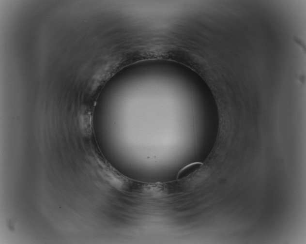 X0000101950624200807181452