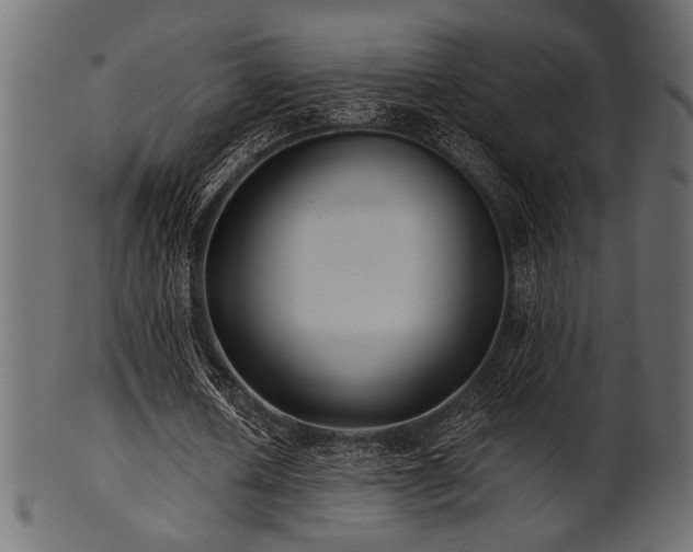 X0000101950626200807181451