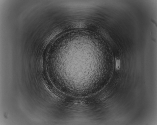 X0000101950627200807181451