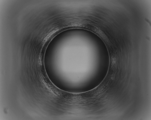 X0000101950628200807181451