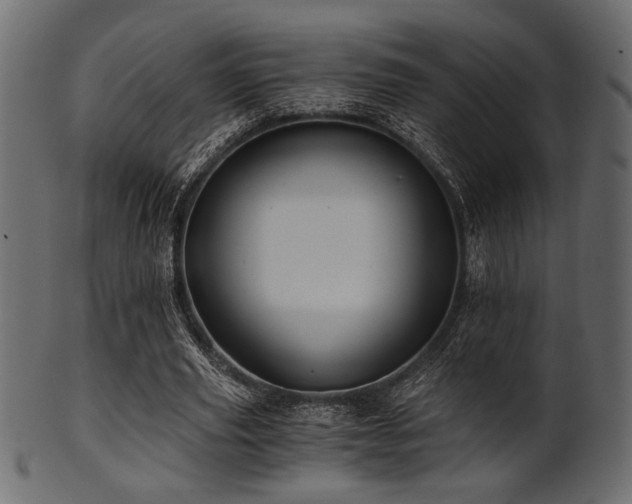 X0000101950629200807181451