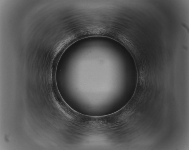 X0000101950630200807181451