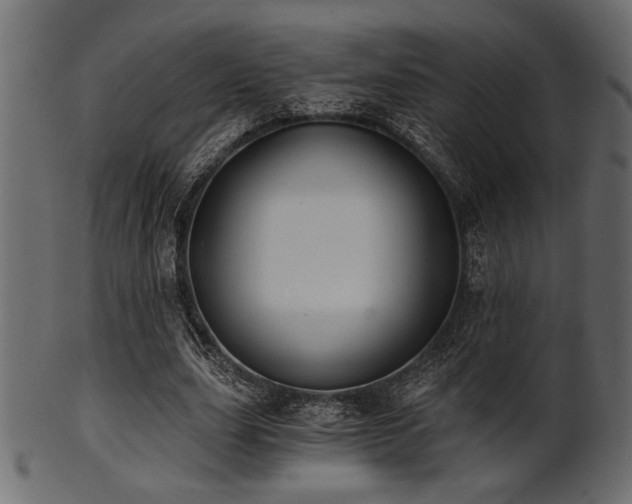 X0000101950631200807181451