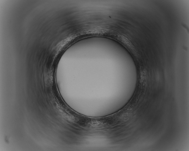 X0000101950632200807181451