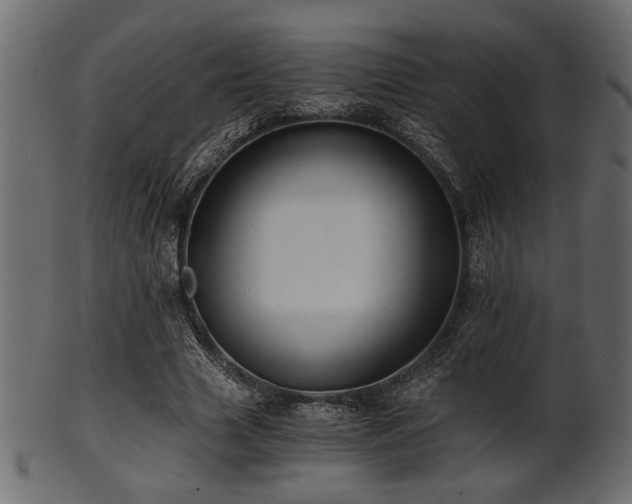 X0000101950633200807181451