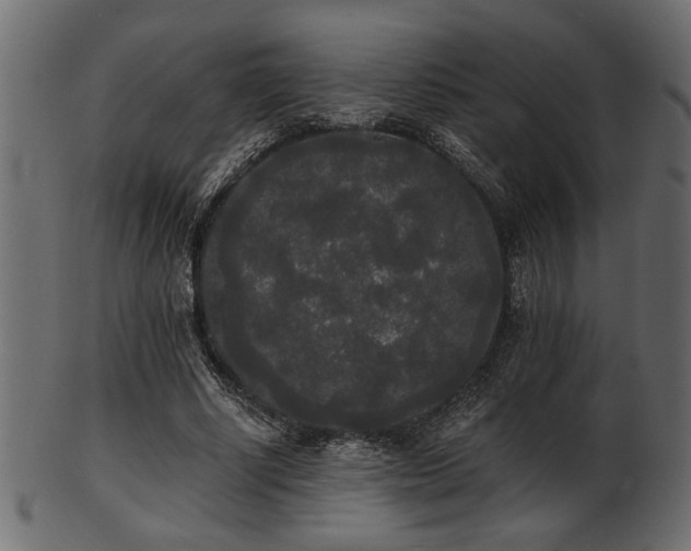 X0000101950634200807181451