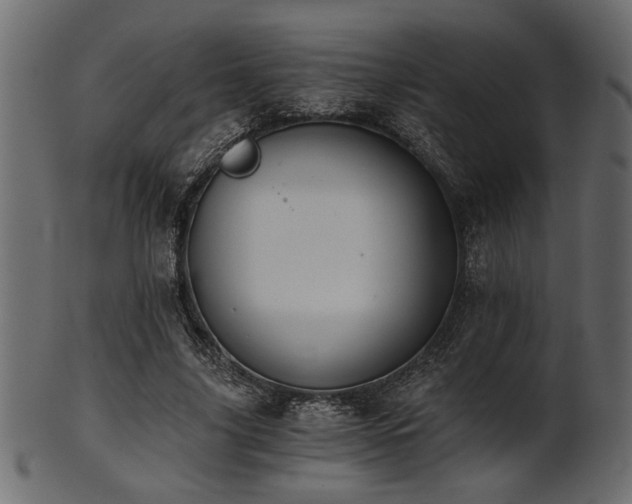 X0000101950635200807181451