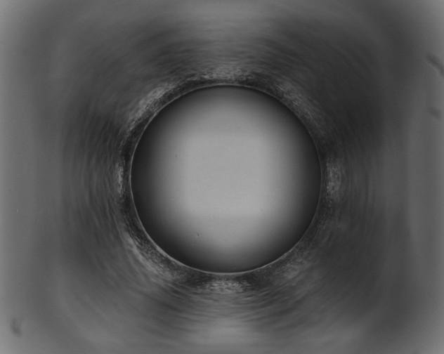 X0000101950636200807181451