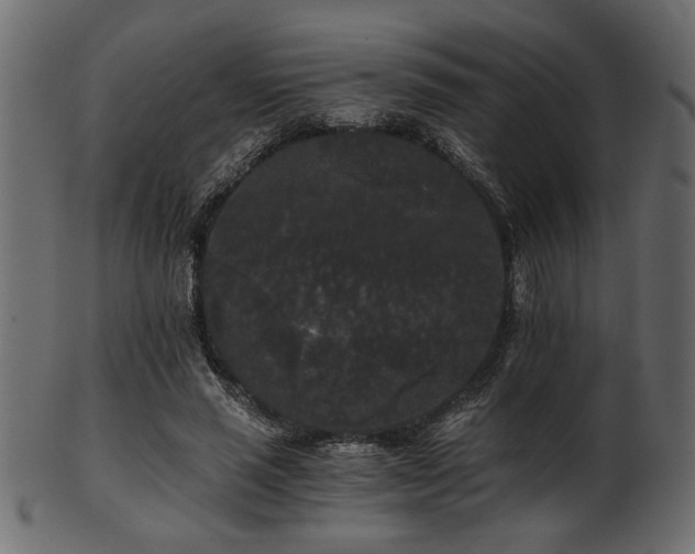 X0000101950637200807181451