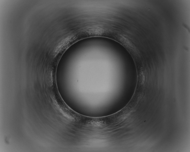 X0000101950638200807181451