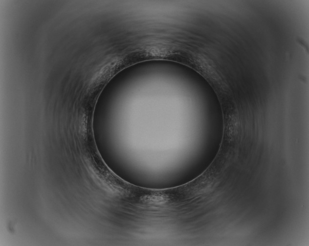 X0000101950639200807181451