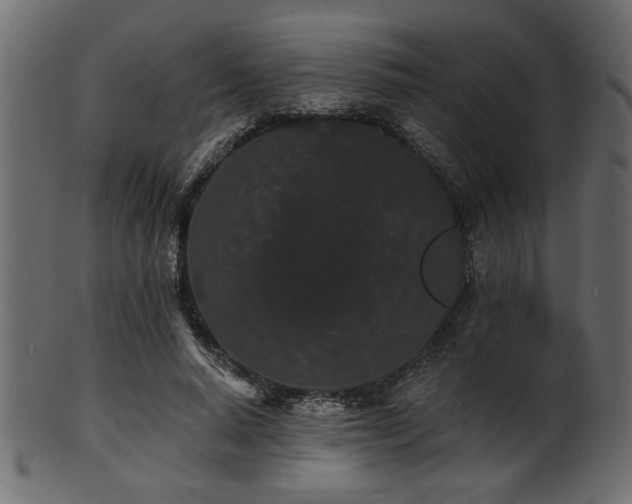 X0000101950640200807181451