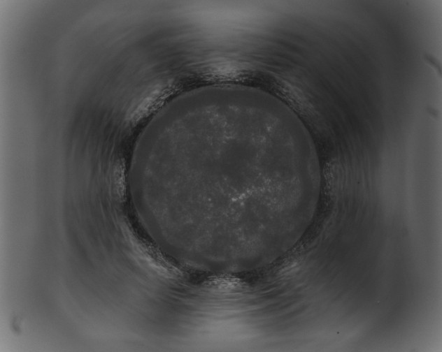 X0000101950642200807181451