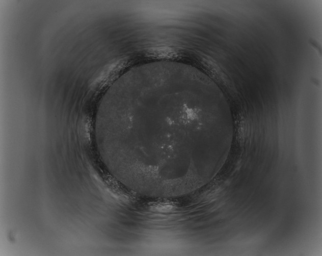 X0000101950643200807181451