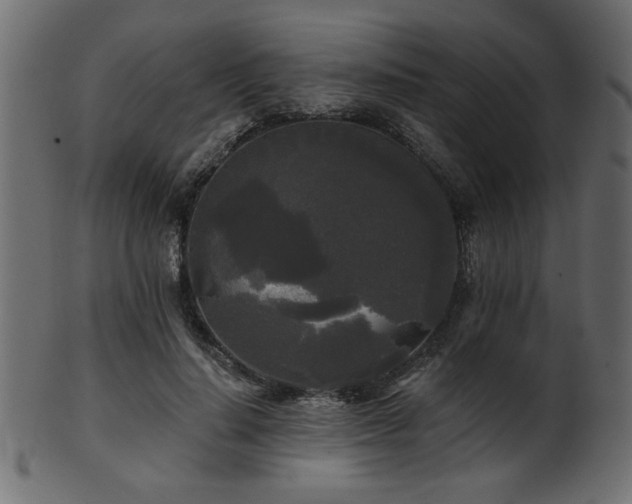 X0000101950644200807181451