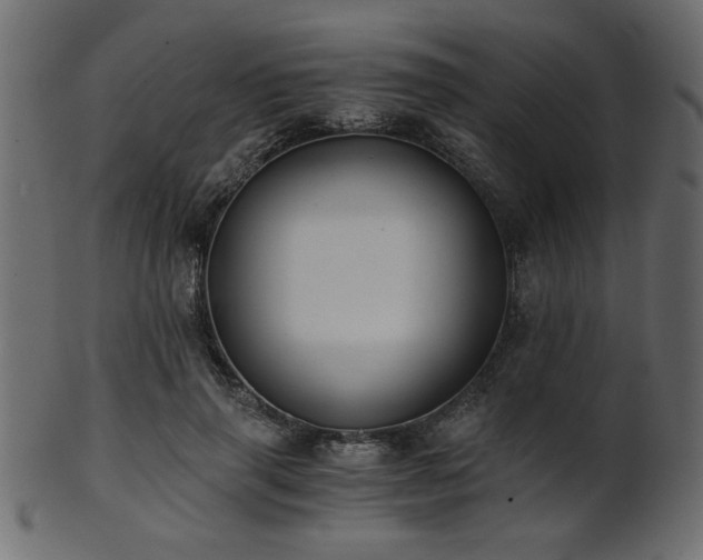 X0000101950645200807181451