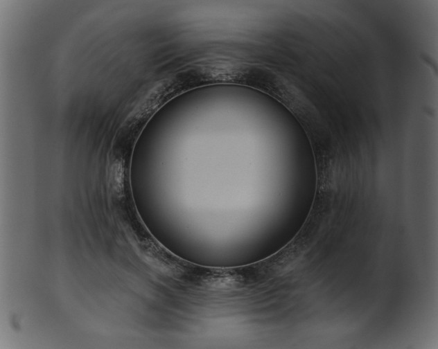 X0000101950646200807181451