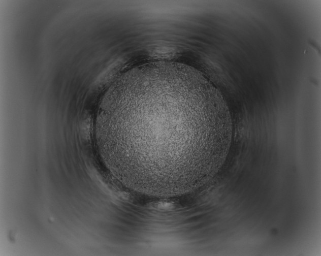 X0000101950647200807181451