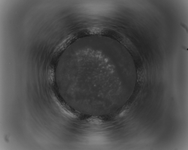 X0000101950648200807181451