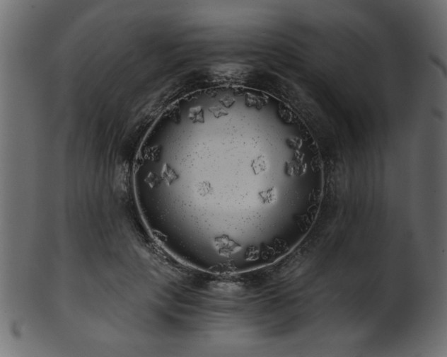 X0000101950649200807181451