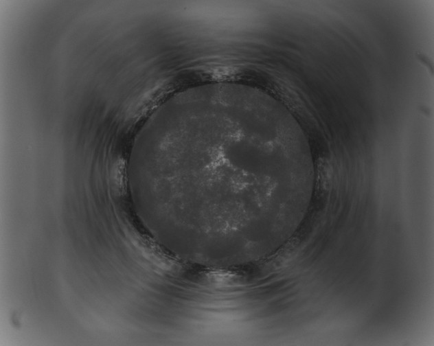 X0000101950650200807181451