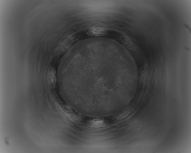 X0000101950651200807181451