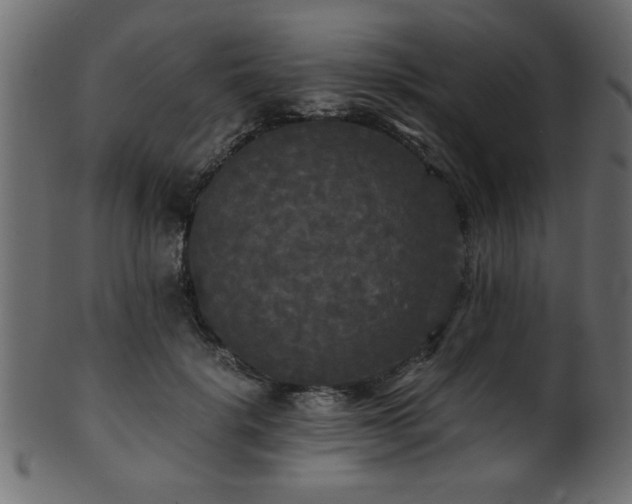 X0000101950652200807181451