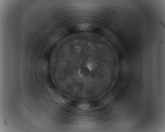 X0000101950653200807181451