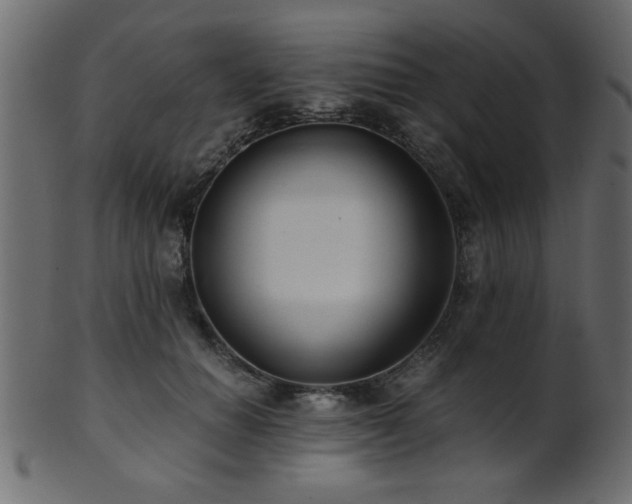 X0000101950654200807181451