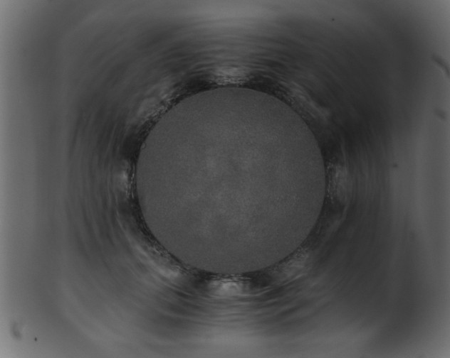 X0000101950655200807181451