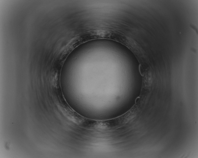 X0000101950656200807181451