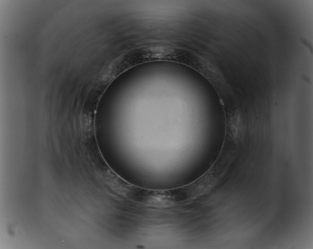 X0000101950657200807181451