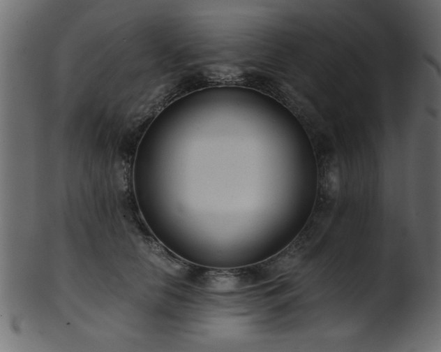 X0000101950658200807181451