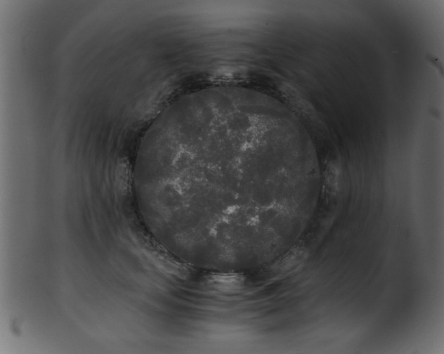 X0000101950659200807181451