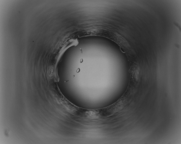 X0000101950660200807181451