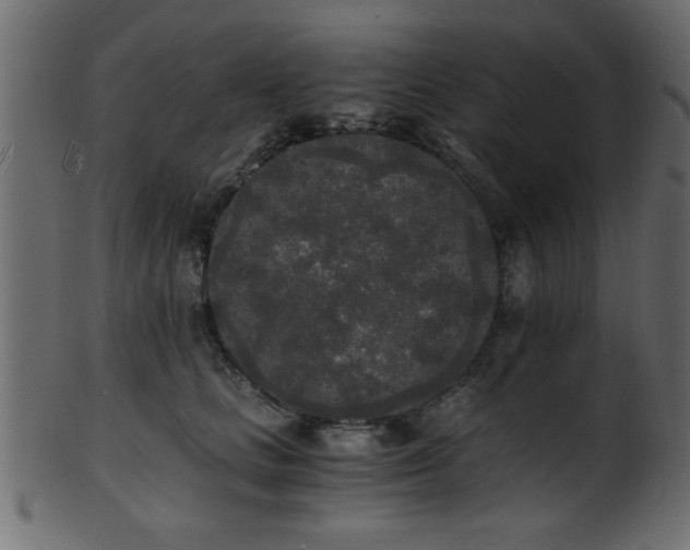 X0000101950661200807181451