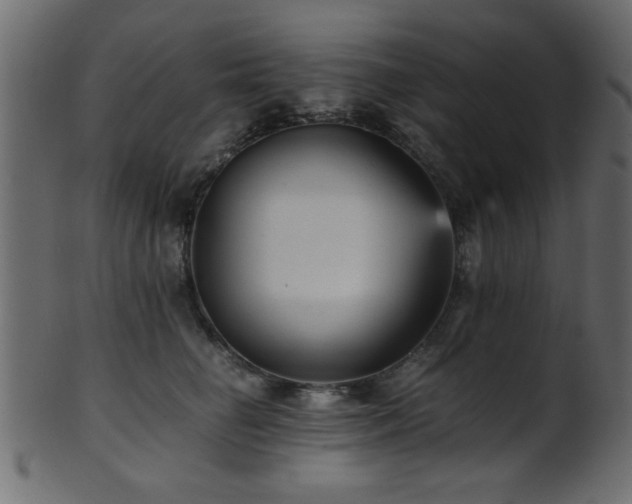 X0000101950662200807181451