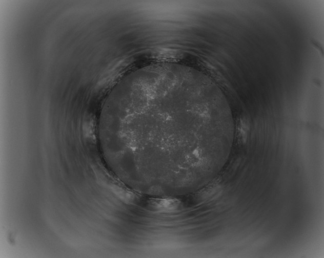 X0000101950663200807181451