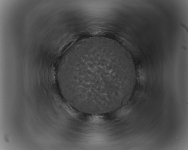 X0000101950664200807181452