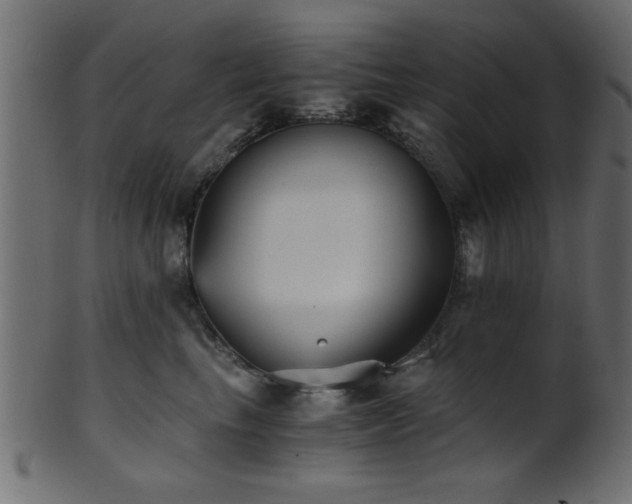 X0000101950665200807181452