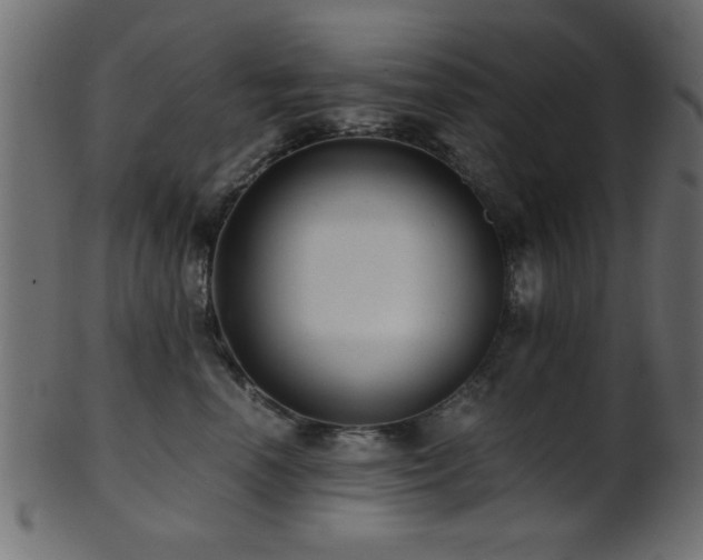 X0000101950666200807181452