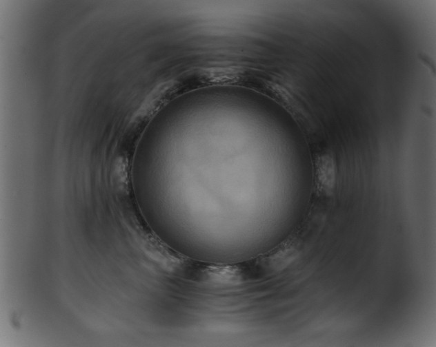 X0000101950667200807181452