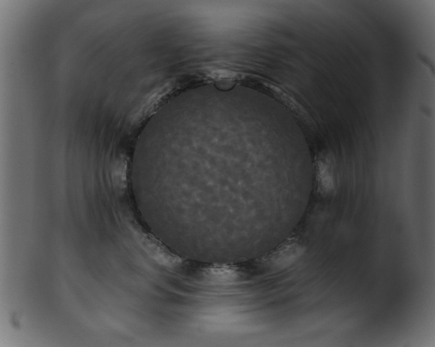 X0000101950668200807181452