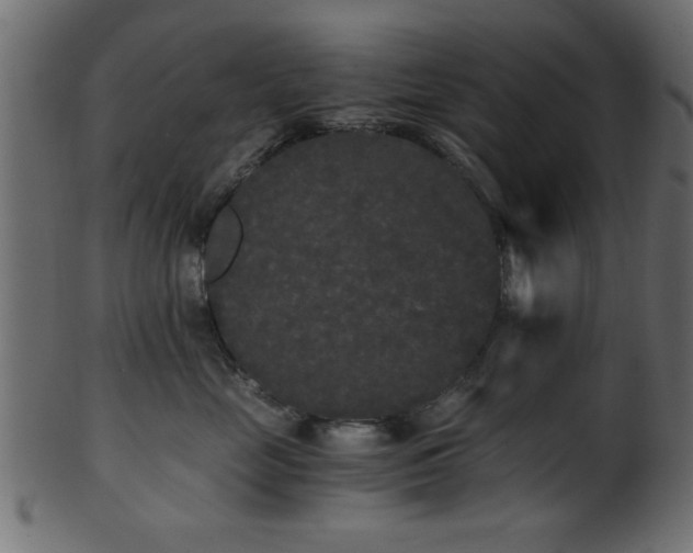 X0000101950669200807181452