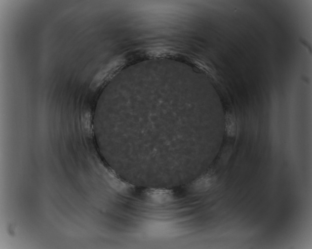 X0000101950670200807181452